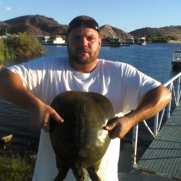 Meet your Posher, James - Picture 1 of 1